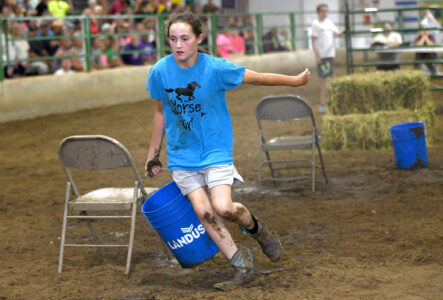 A Gold Medal For Barnyard Olympics - Eckert's